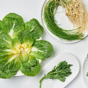 배추로 챙기는 저속노화 01